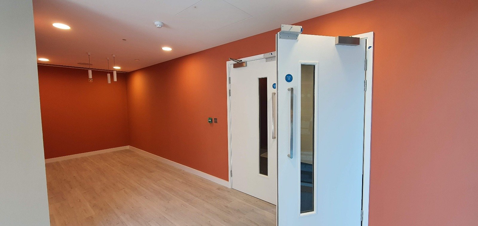 Interior room with light wood flooring, orange walls and white doors.