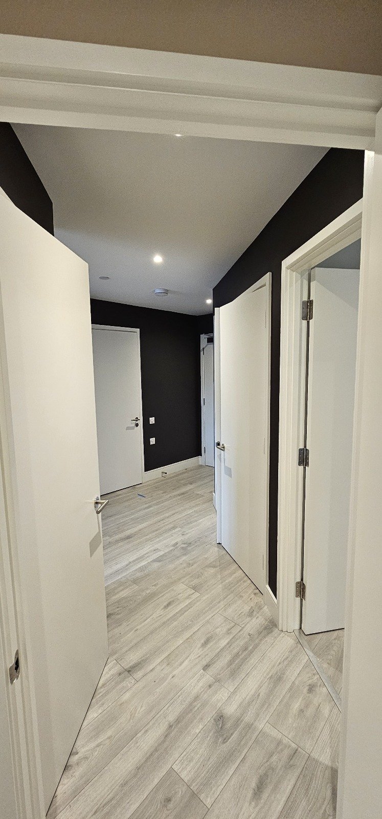 Modern hallway with light wood flooring, white doors and black accent walls.